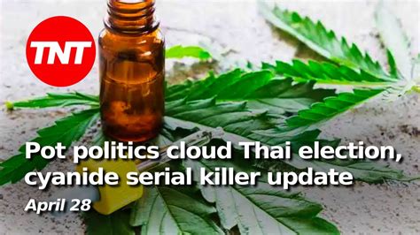 Pot Politics Cloud Thai Election Cyanide Serial Killer Update TNT