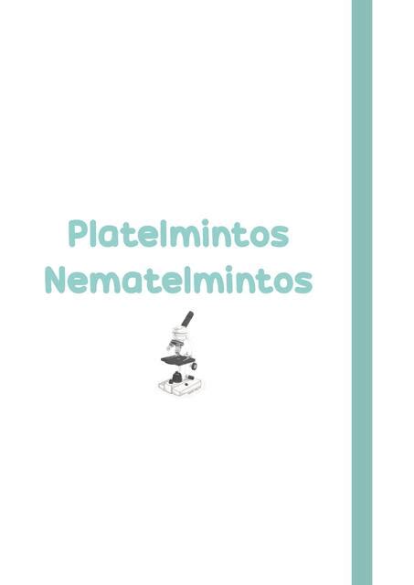 Platelmintos Y Nematelmintos Kimberly Brisseth Cieza Vargas Udocz