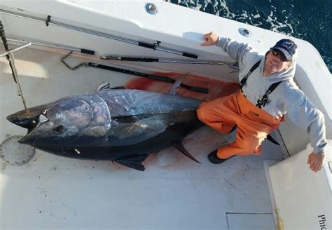 Giant Bluefin Tuna Fishing in the Outer Banks - FishingBooker Blog