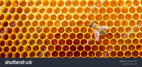 95,151 Bee Comb Royalty-Free Images, Stock Photos & Pictures | Shutterstock