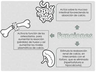 Pth Y Calcitonina PPT