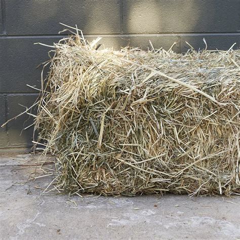 Grass Hay Bale – The Meadows Produce & pet supplies