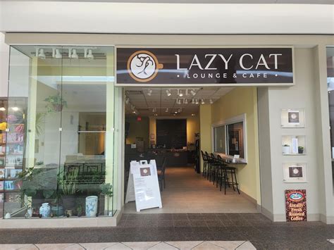 Our Story — Lazy Cat Lounge & Cafe