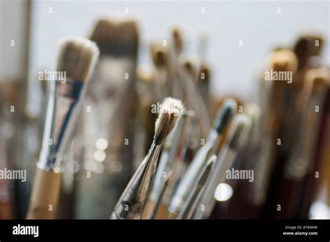 Various Paint Brushes Close Up Stock Photo Alamy