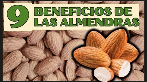 ESTO PASA SI COMES ALMENDRAS TODOS LOS DIAS 9 INCREIBLES BENEFICIOS