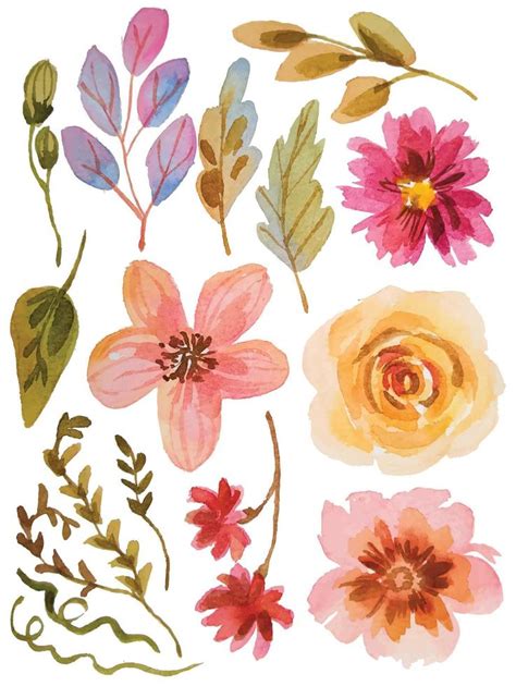 Watercolor Flower Elements Clipart 11954381 Vector Art At Vecteezy