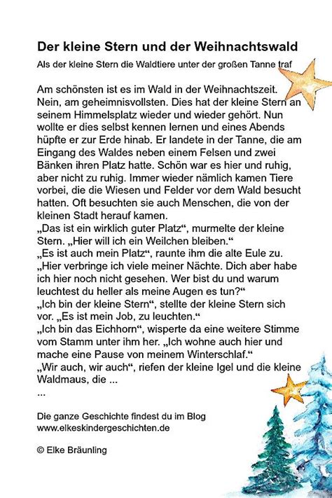 Der Kleine Stern Und Der Weihnachtswald Elkes Kindergeschichten