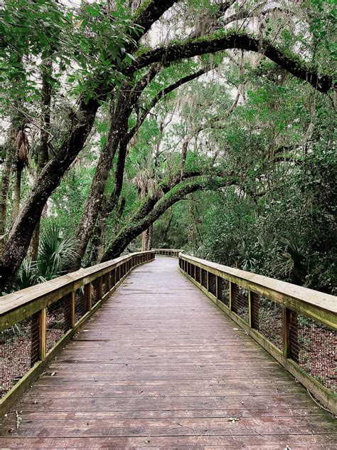 7 Local Parks To Explore In Central Florida LemonHearted