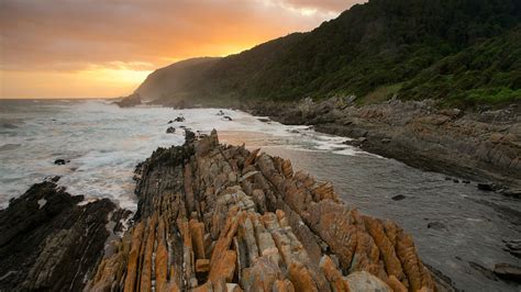 Tsitsikamma National Park in Storms River, | Expedia