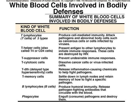 Leukocytes Function