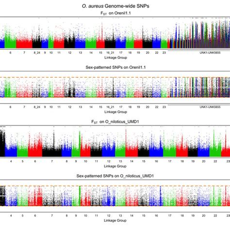 Whole Genome O Niloticus Parison A Fst Comparison Of Xx