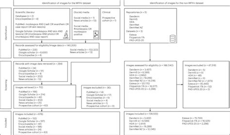 A Deep Learning Algorithm To Classify Skin Lesions From Mpox Virus