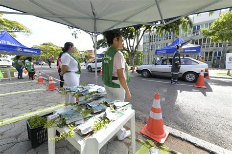 Blitz Ambiental distribui centenas de mudas de árvores de espécies