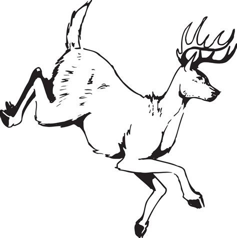 Deer Jumping Drawing