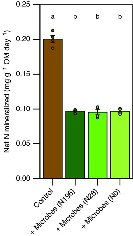 Microbial Net N Mineralization Potential In The Absence Of Plants And