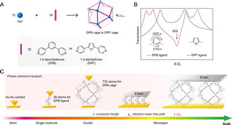 Scaling Of Quantum Interference From Single Molecules To Molecular