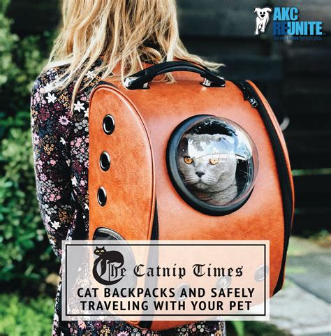 Cat Backpacks and Safe Travels