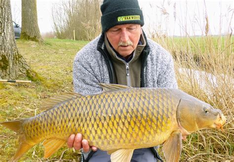 Feederen In De Winter Levert Karper Op