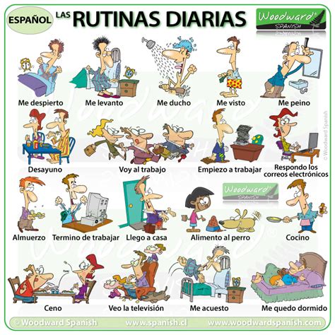 Mi Rutina Diaria En Espanol