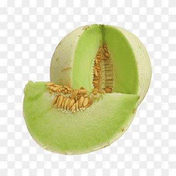 Muskmelon Png Images Pngwing