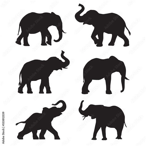 Set of African elephant silhouette on white background Stock Vector ...