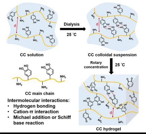 A Scheme For The Hypothetical Mechanism Of Forming Cc Colloidal