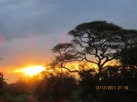 What corey bohan did before he became a famous rider 21