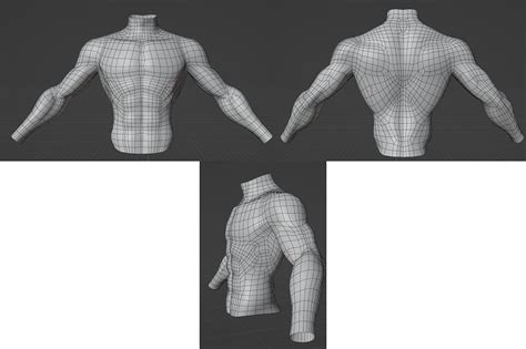 Looking For Feedback For Torso Topology Modeling Blender Artists