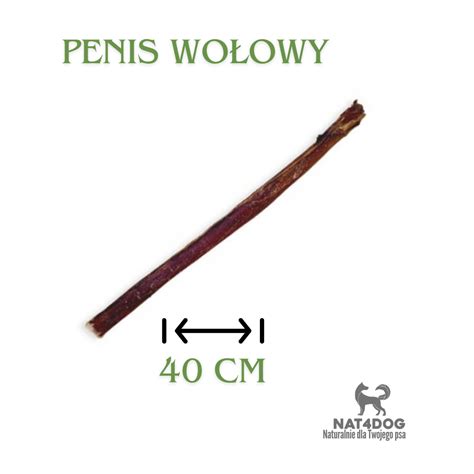 Suszony penis wołowy 40 cm odcinki bata wołowego na sztuki dla dużego