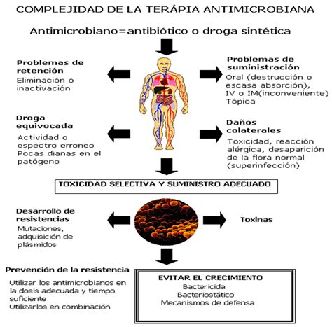 Microbiologia Y Parasitologia 2e Unpa Drogas Antimicrobianas