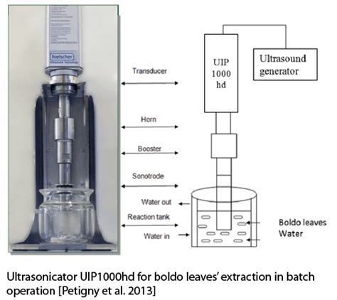 Ultrasonic Anthocyanin Extraction