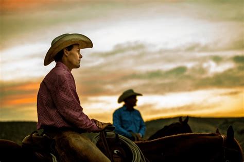 160 Cowboy Sitting Profile Royalty-Free Photos and Stock Images ...