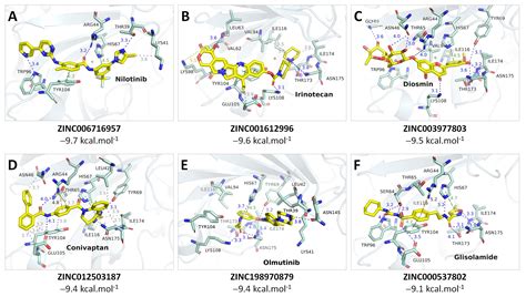 Phong Lam - Research
