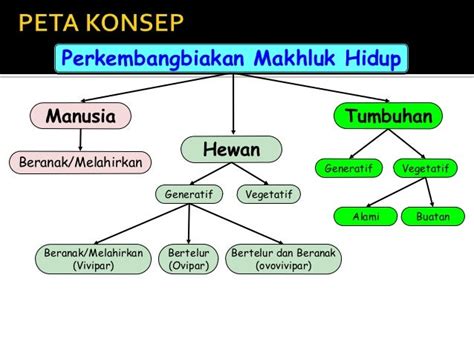 Peta Konsep Perkembangbiakan Tumbuhan Rpal