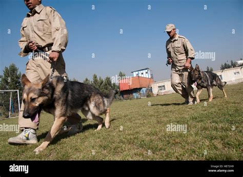 Border force officers process hi-res stock photography and images - Alamy