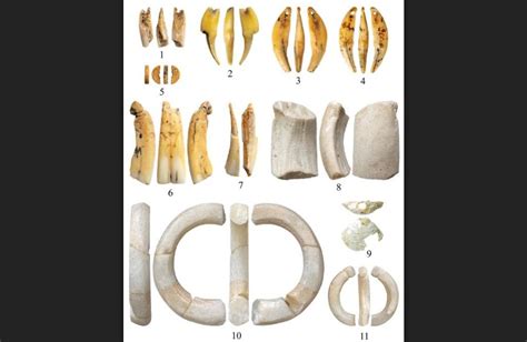 Сибирские археологи обнаружили в пещере на Алтае украшения из ...