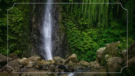 Wisata Wonosalam Jombang Terbaru Temukan Destinasi Menarik Dan