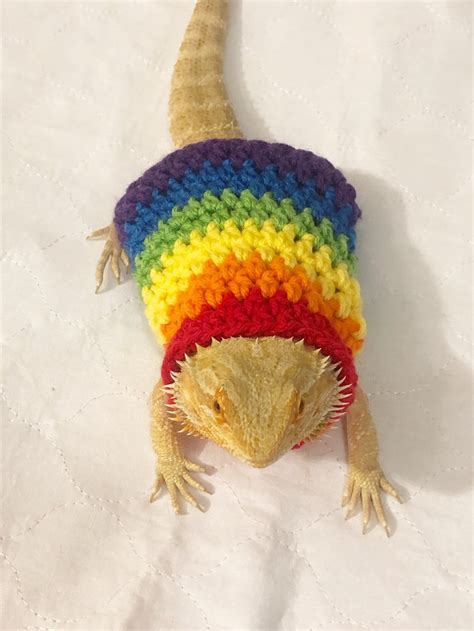 Crocheted Adult Rainbow Bearded Dragon Sweater Bearded Etsy