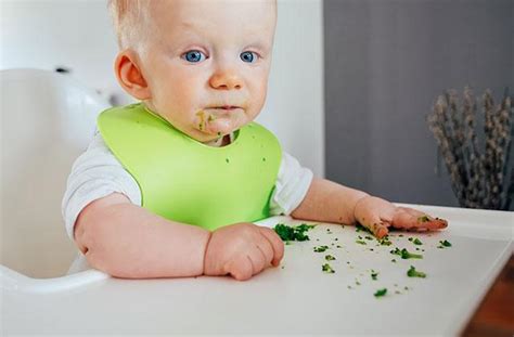 M Todo Blw Entenda O Baby Led Weaning