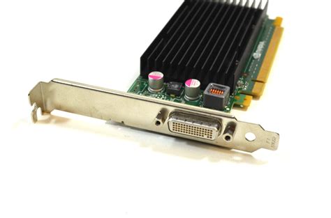 Nvidia Quadro Nvs Mb Grafikkarte Dms Zu X Dvi Splitter