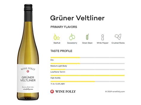 The Comprehensive Guide to Grüner Veltliner | Wine Folly