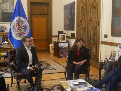 Secretario General de la OEA se reúne con independientes de la ONU para