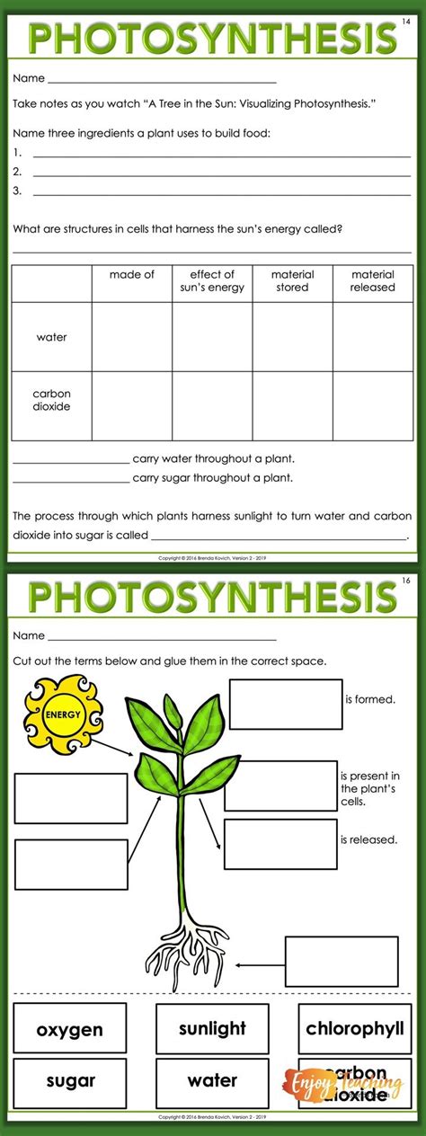 Photosynthesis Animation Student Worksheet