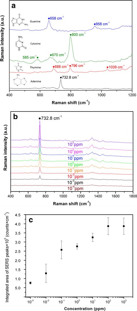 A SERS Spectra Of Adenine Thymine Cytosine And Guanine 10 4 M B