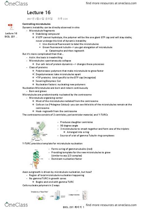 Biol Lecture Notes Winter Lecture Paclitaxel Reaction