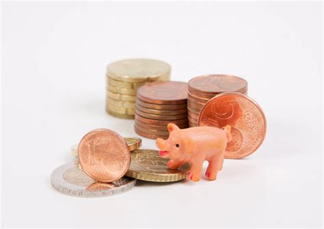 Finance And Economy Pig Piggy Bank Money Save Coins Wealth