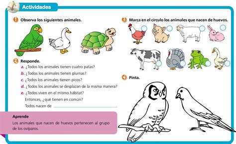 Animales ovíparos Escolar ABC Color