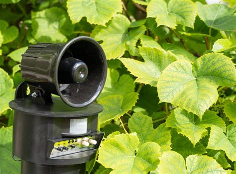 Phonoakustisches Vogelabwehrsystem Bird Busters