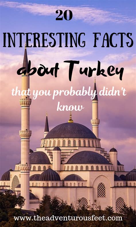 Fun Facts About Turkey That You Didn't Know - The Adventurous Feet