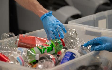 Painting Campus Green: How Student Sustainability Efforts Can Transform